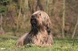 BRIARD 085
